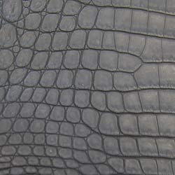 Crocodile leather