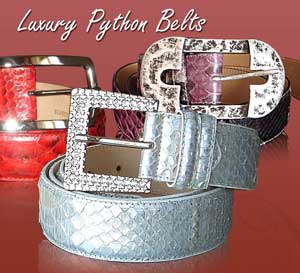 Luxury and fashion belts